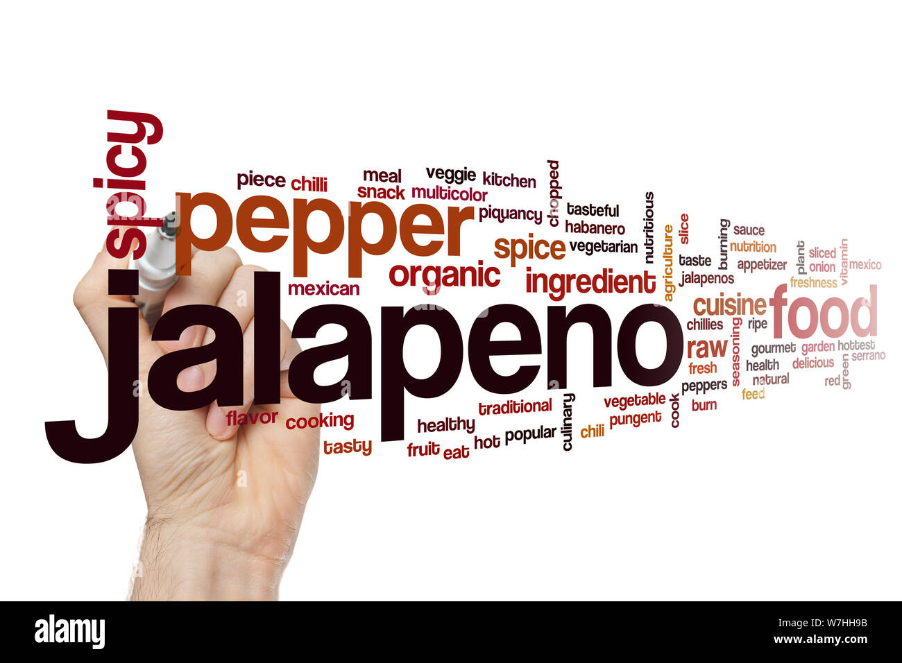 Jalapeno word cloud concept Stock Photo Alamy