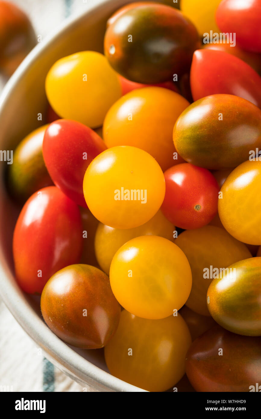 Raw Organic Heirloom Cherry Tomatoes Ready to Eat Stock Photo