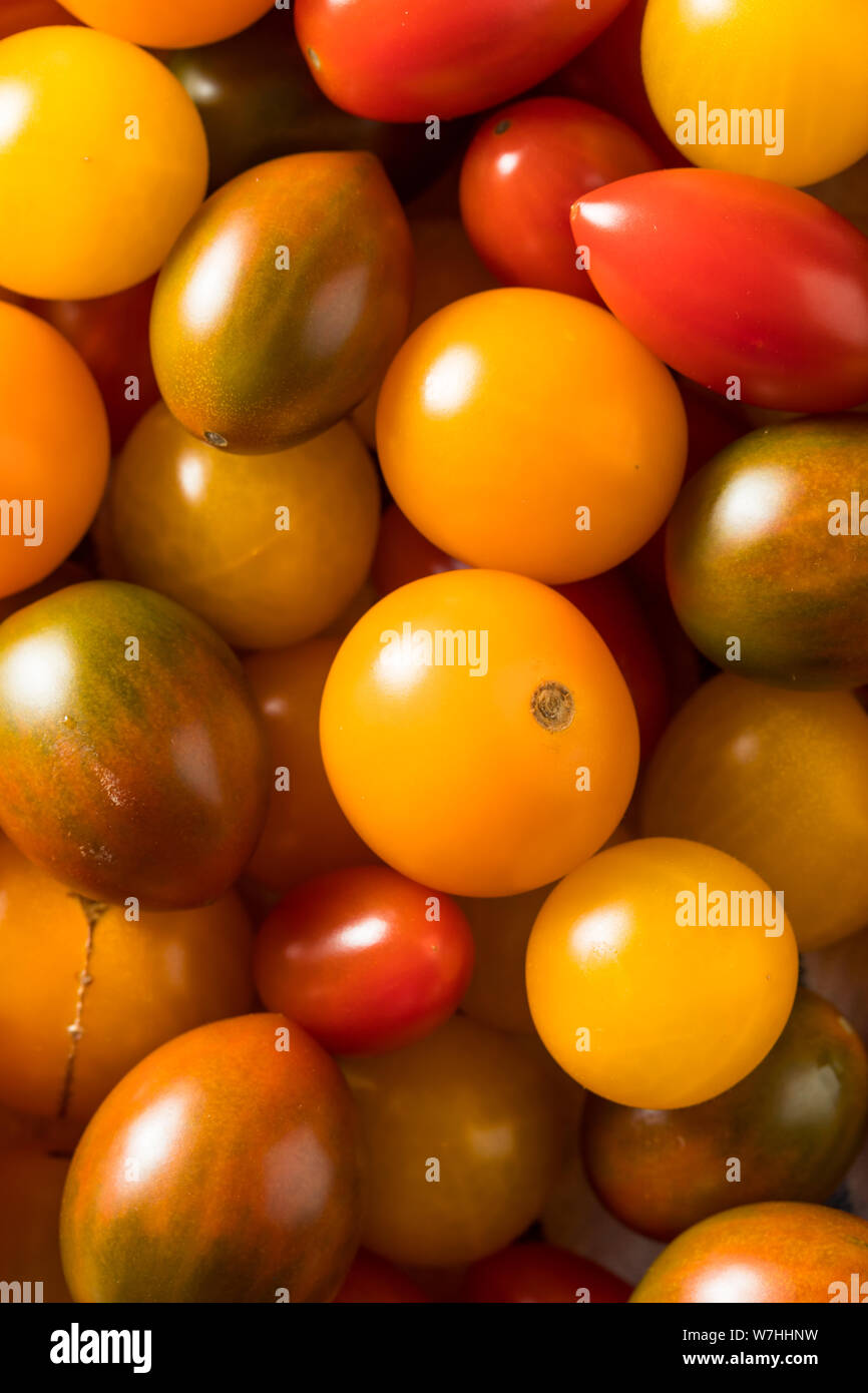 Raw Organic Heirloom Cherry Tomatoes Ready to Eat Stock Photo Alamy