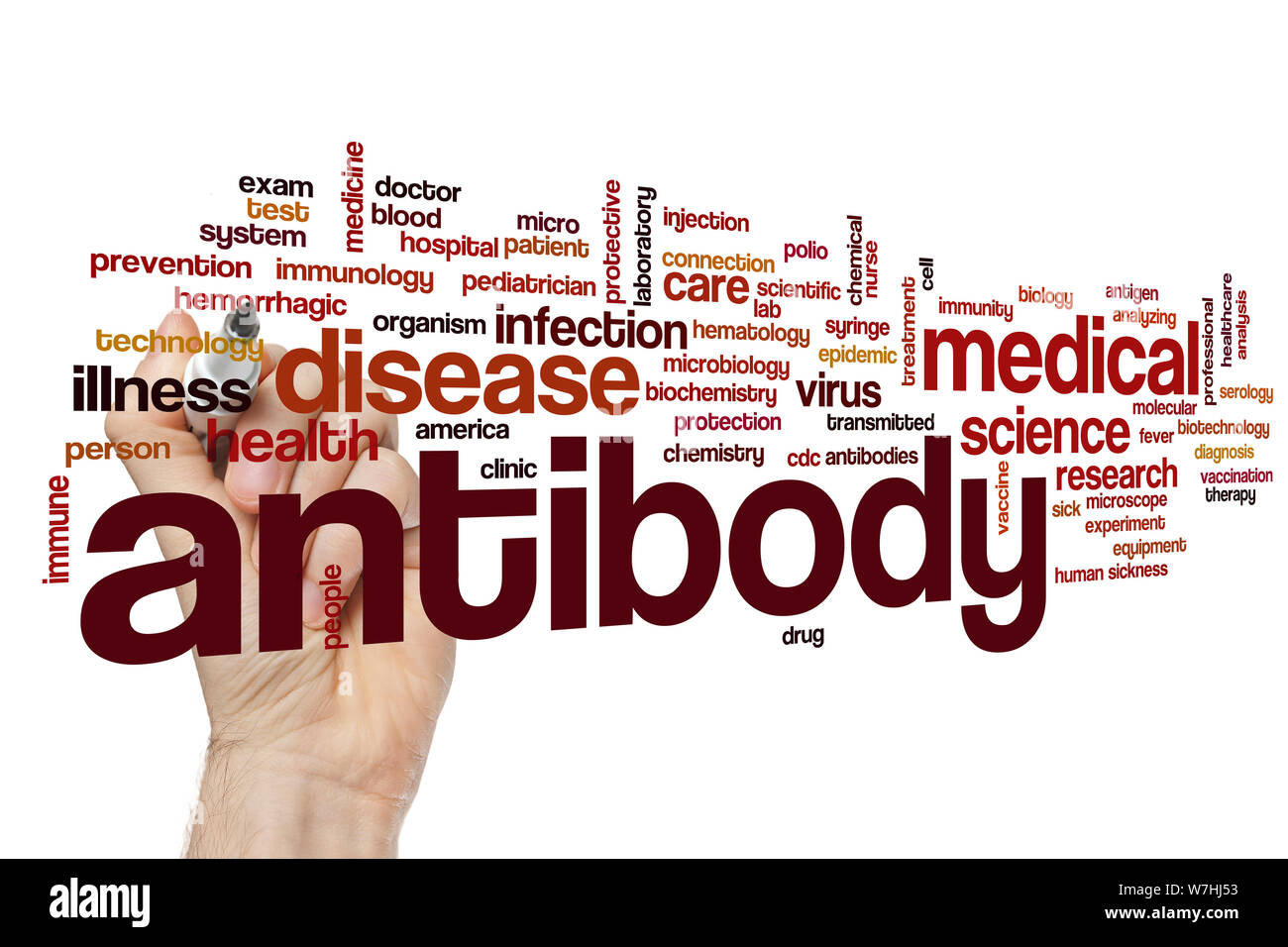Antibody word cloud concept Stock Photo Alamy