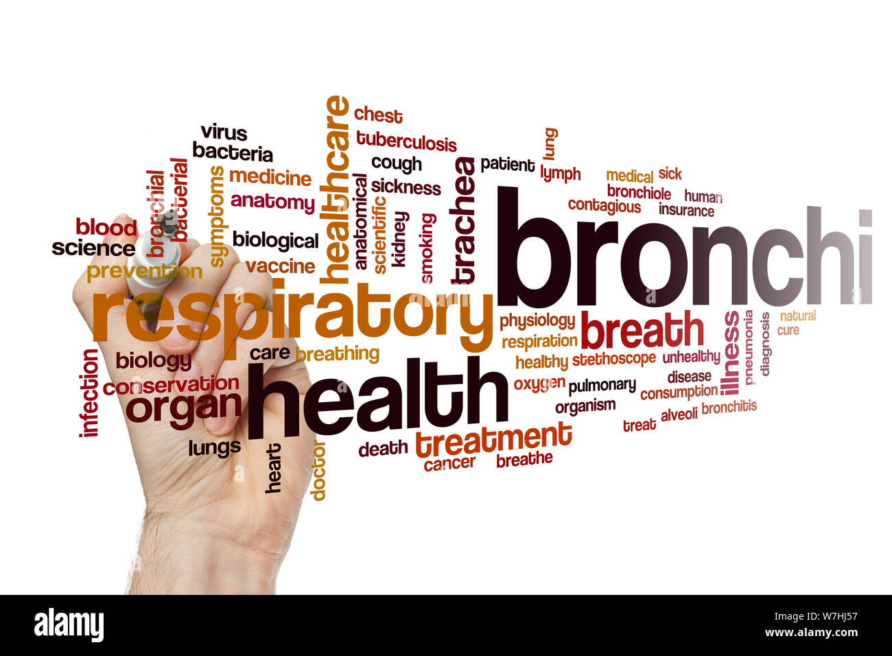 Bronchi word cloud concept Stock Photo