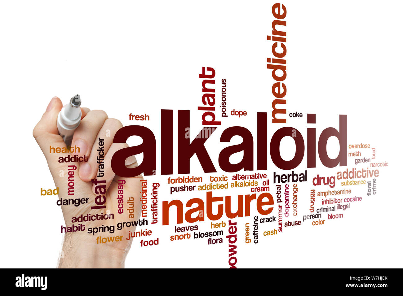 Alkaloid word cloud concept Stock Photo