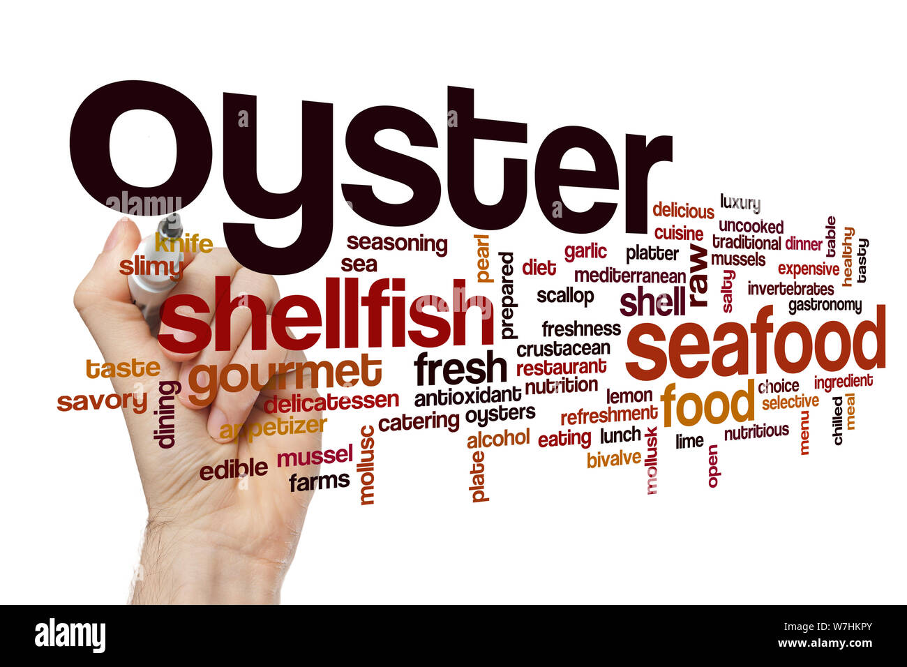 Oyster word cloud Stock Photo Alamy