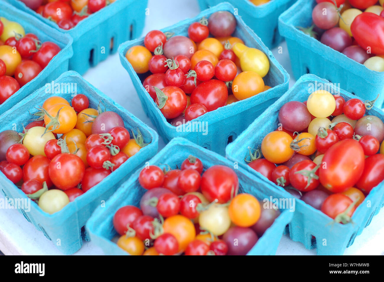 organic cherry tomatoes in bucket at market Stock Photo Alamy