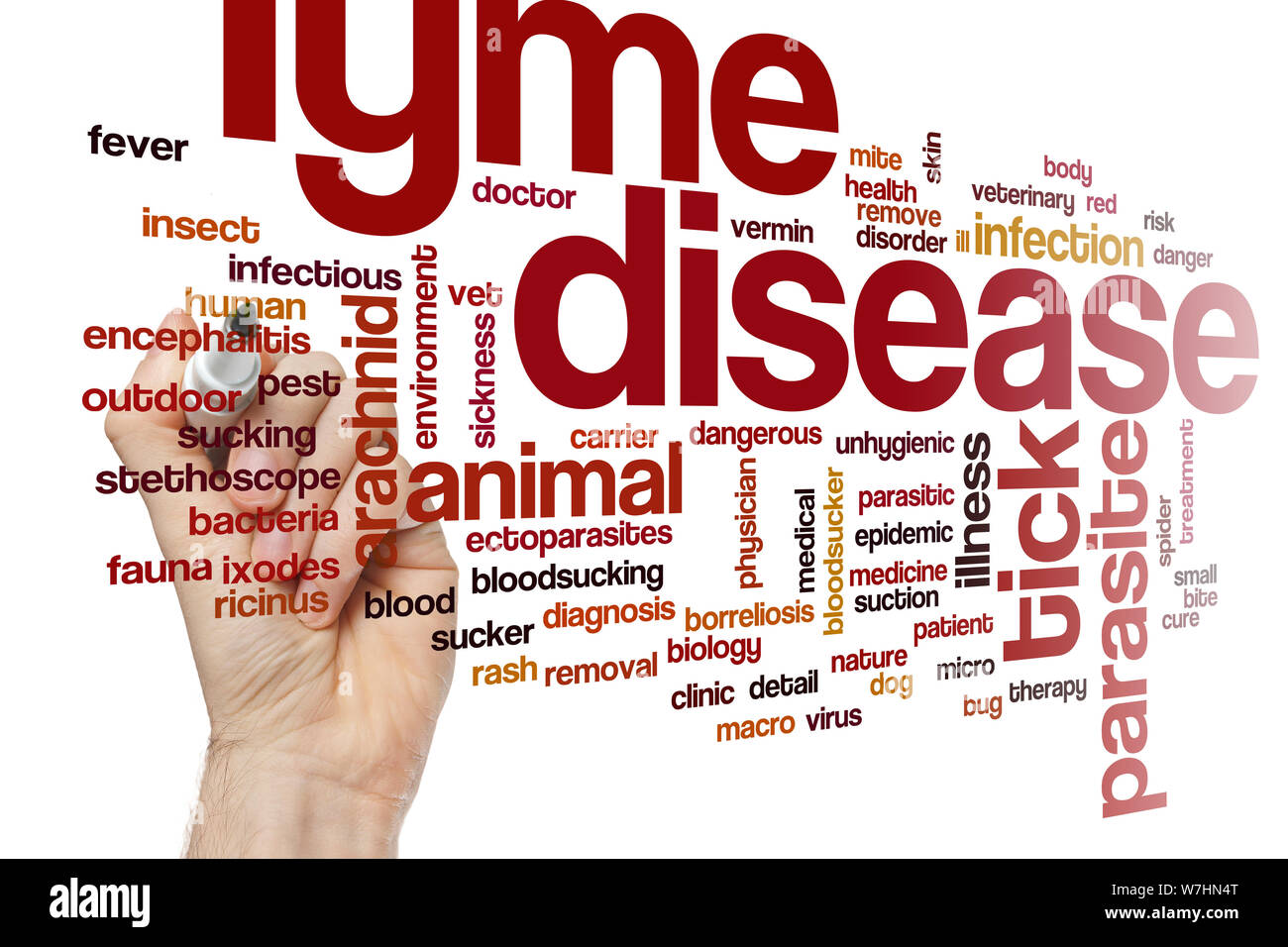Lyme disease word cloud Stock Photo Alamy