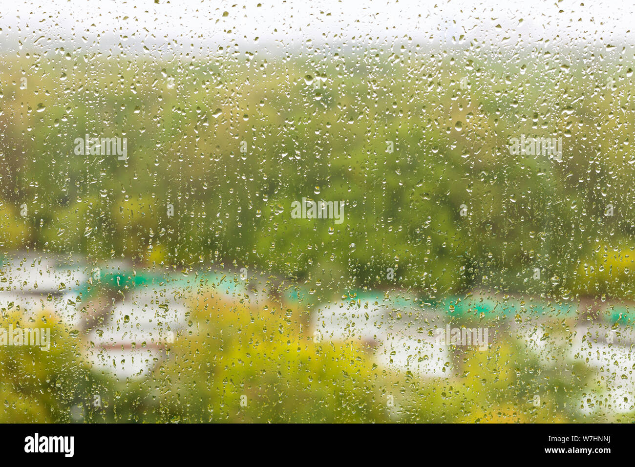 raindrops on glass of home window and blurred city garden on background on rainy autumn day Stock Photo