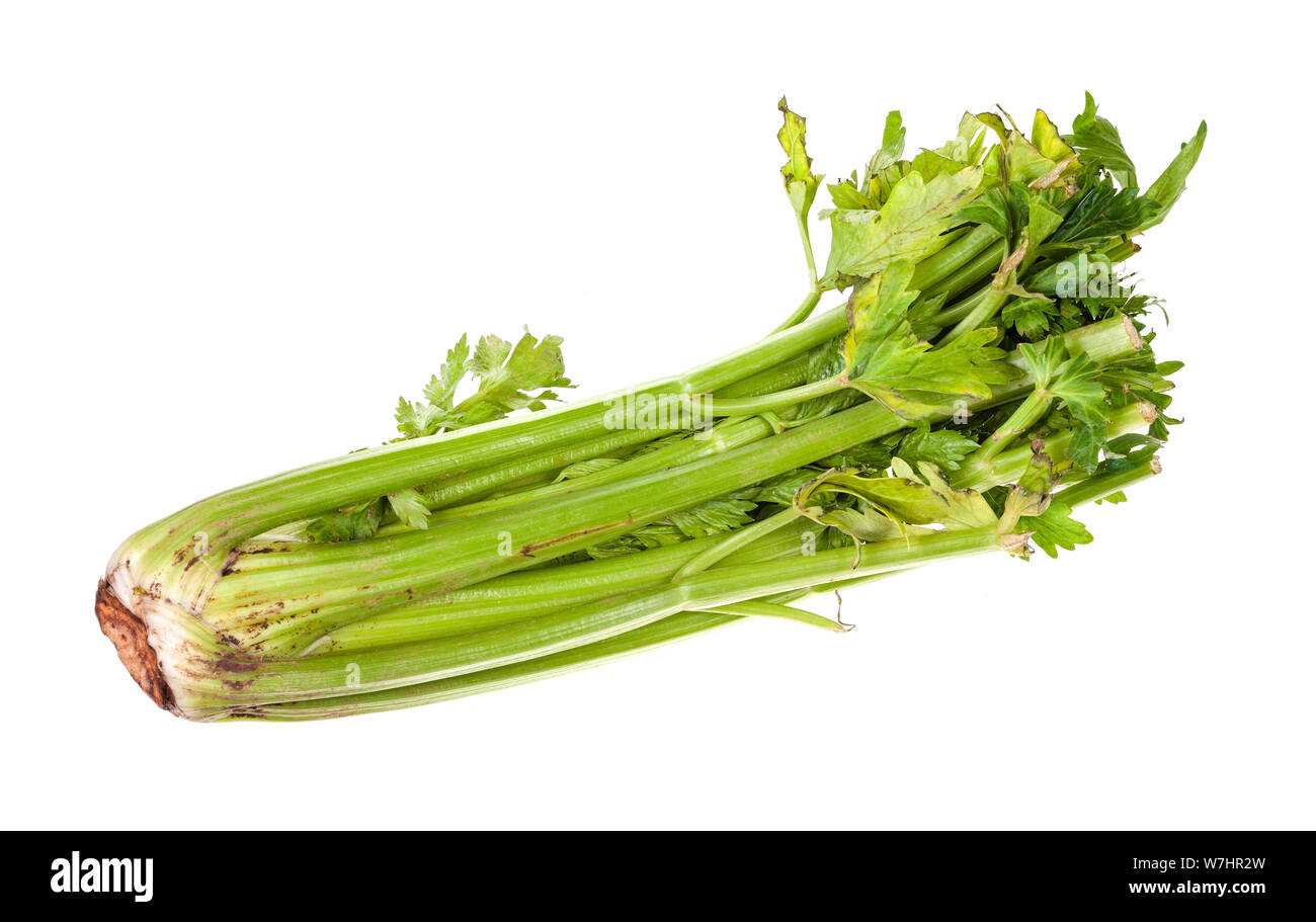 fresh celery stalk isolated on white background Stock Photo