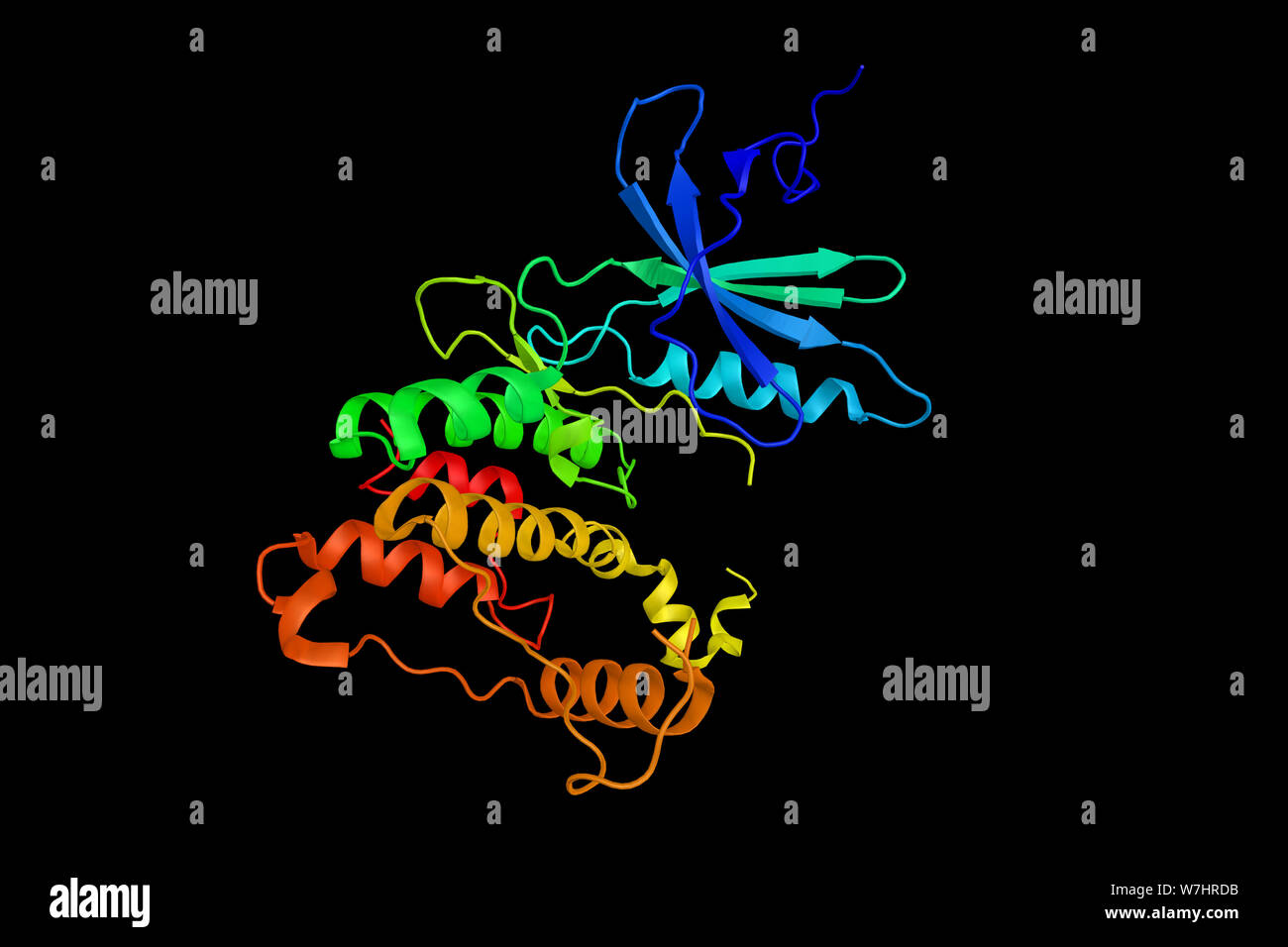 MAP kinaseinteracting serine/threonineprotein kinase 2, an enzyme