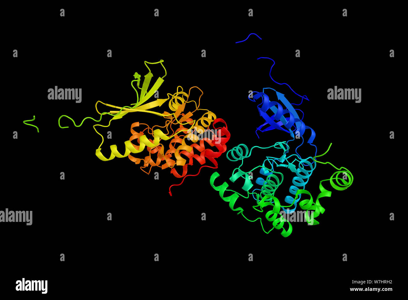 NIMA (never in mitosis gene a)-related kinase 1, thought to be involved in amytrophic lateral sclerosis. 3d rendering. Stock Photo