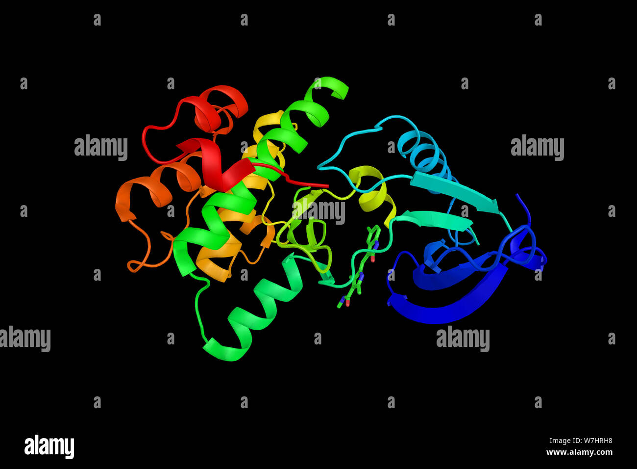 Serine/threonine-protein kinase Nek2, an enzyme shown to interact with MAPK1 and NDC80. 3d rendering. Stock Photo