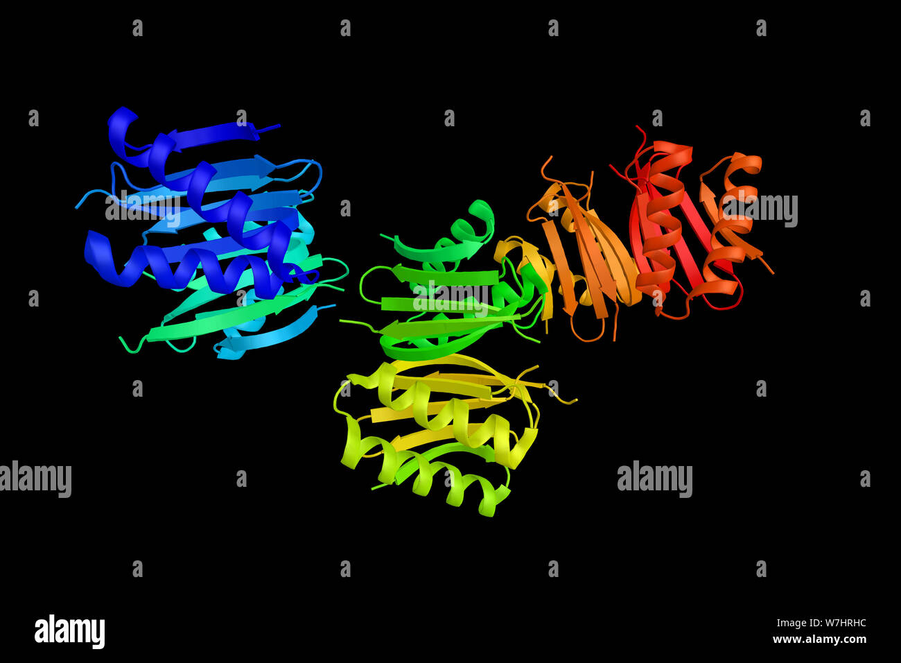 Serine/threonine-protein kinase Nek9, an enzyme that in humans is encoded by the NEK9 gene. 3d rendering. Stock Photo