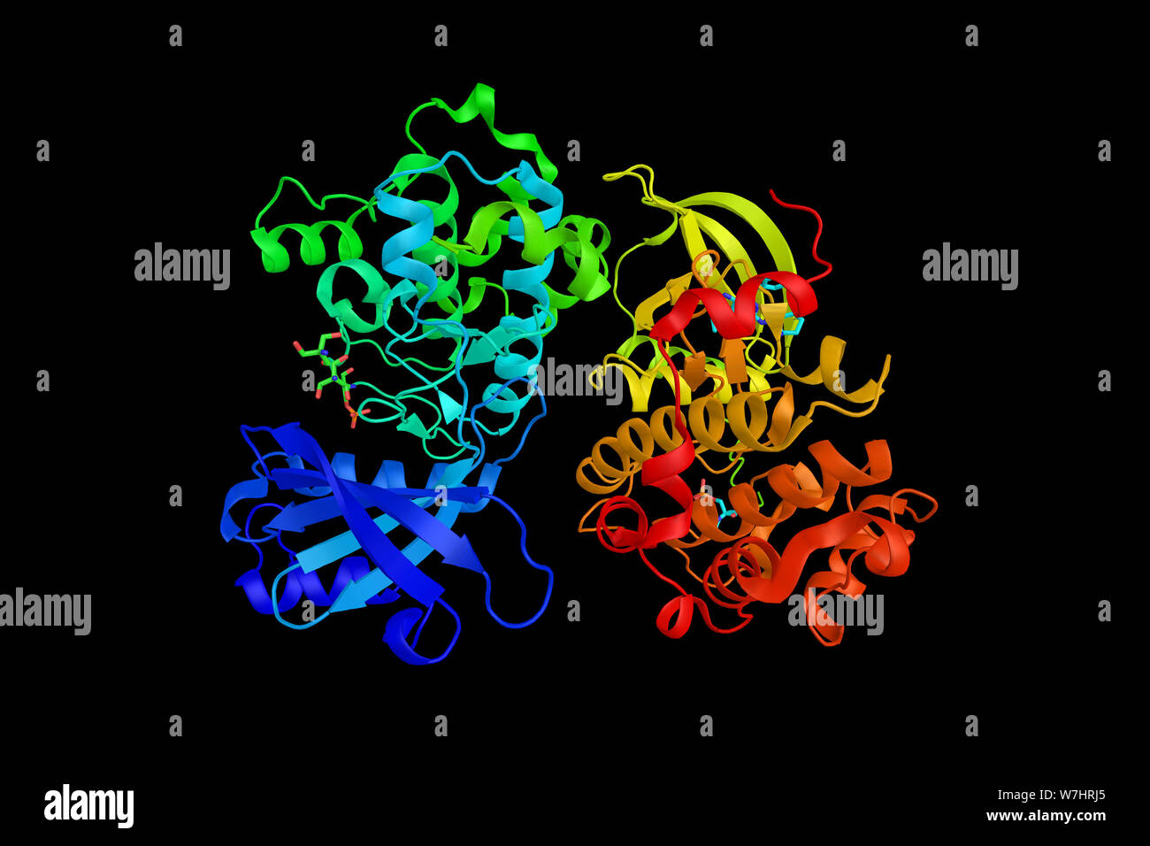 PAK5, an enzyme thought to be one of genetic variants regulating gene expression (eQTL). 3d rendering. Stock Photo