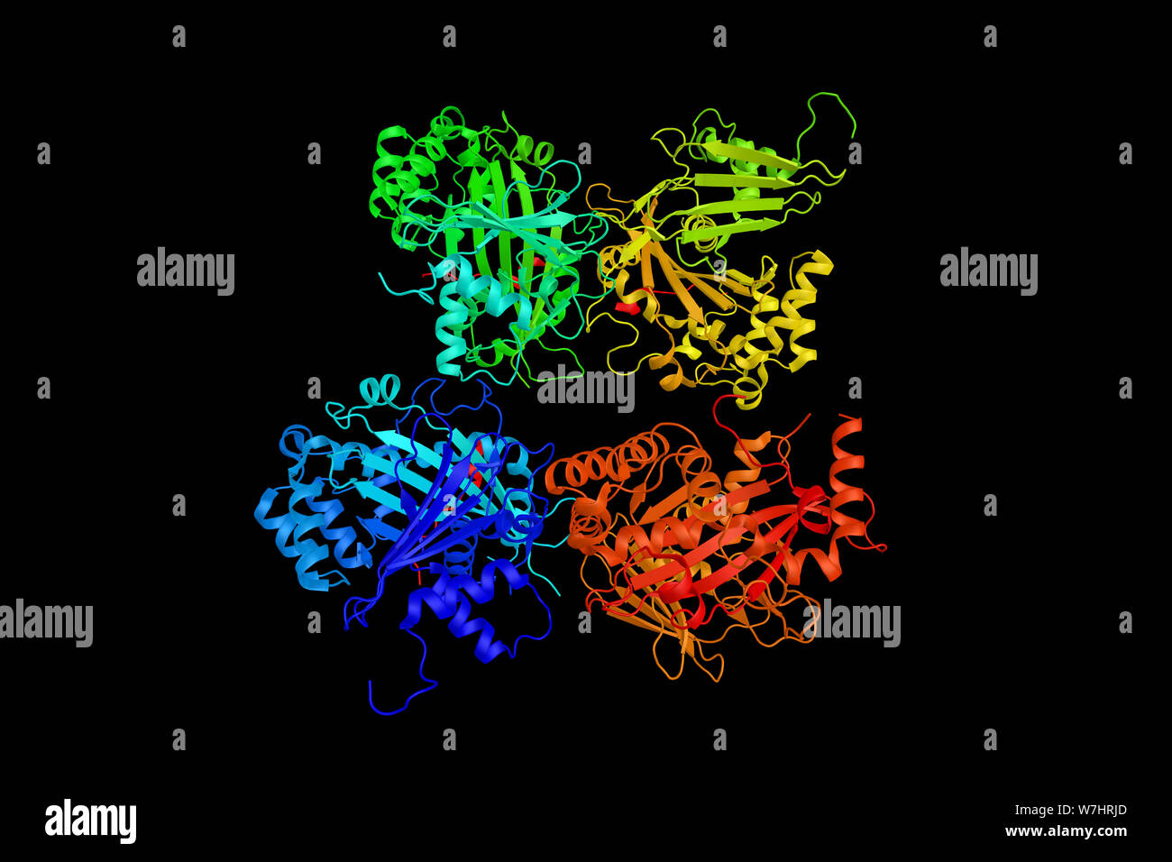 Serine/threonine-protein kinase PAK 2, enzyme involved in modulating apoptosis, viral pathogenesis, and cancer. 3d rendering. Stock Photo
