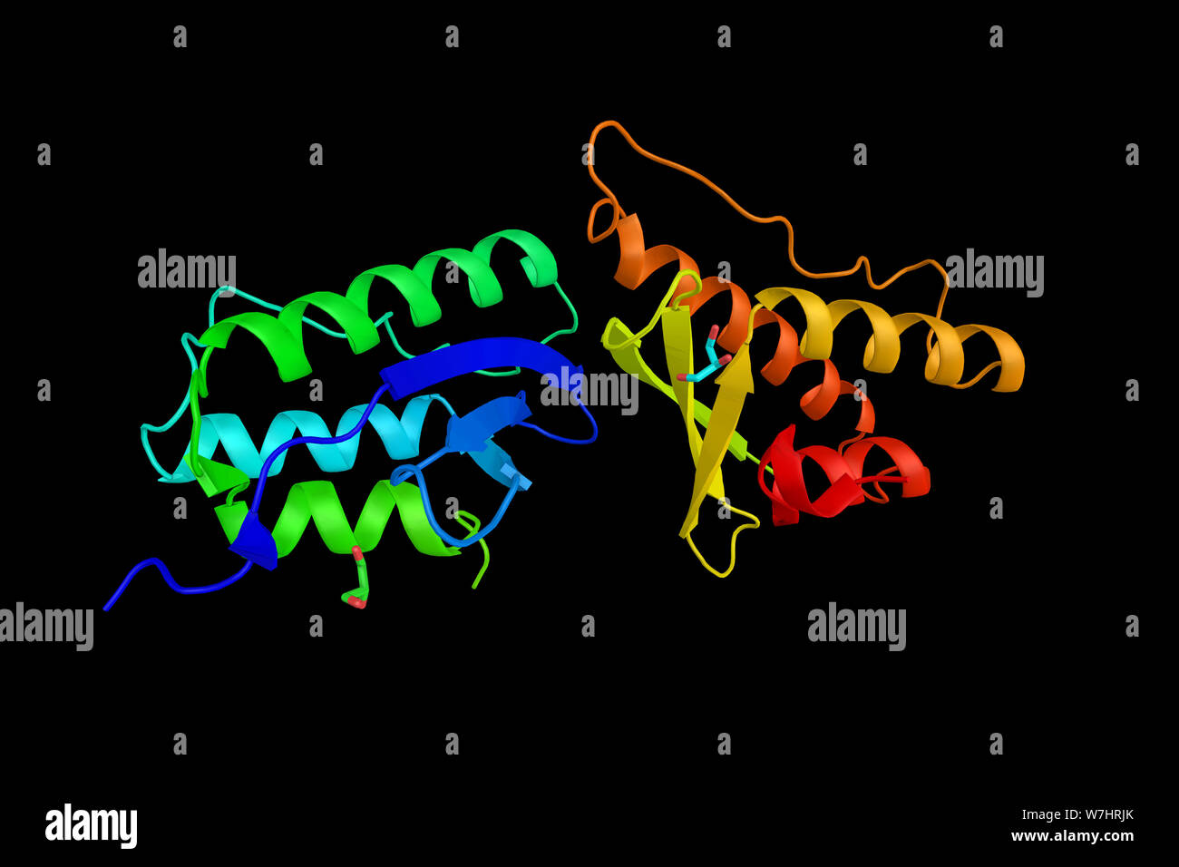 Nischarin, a nonadrenergic imidazoline-1 receptor protein that localizes to the cytosol and anchors to the inner layer of the plasma membrane. 3d rend Stock Photo