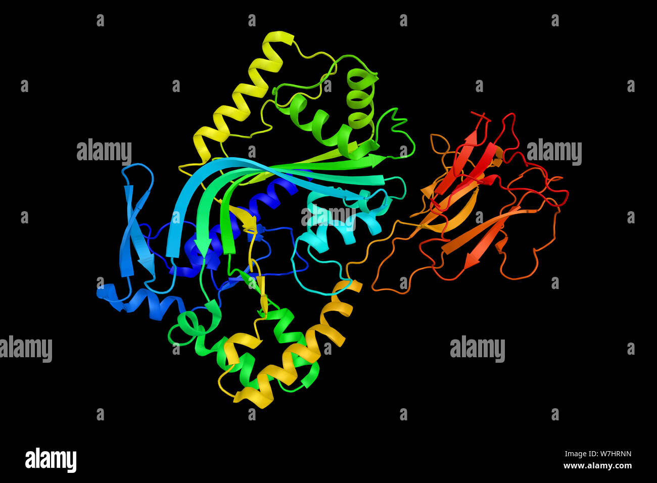 Nk lymphocytes hires stock photography and images Alamy