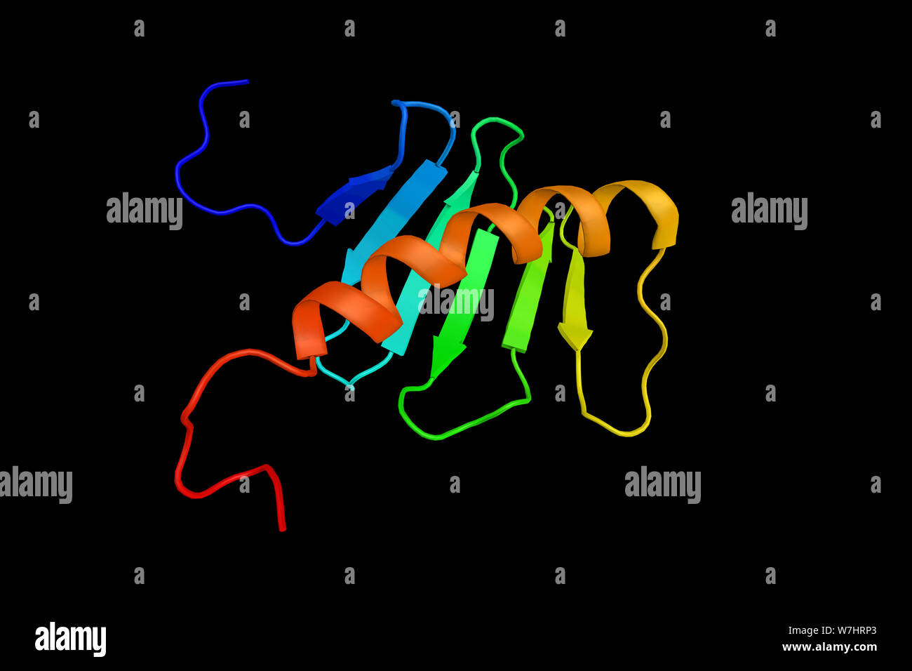PLK4, an enzyme which regulates centriole duplication during the cell cycle. 3d rendering. Stock Photo