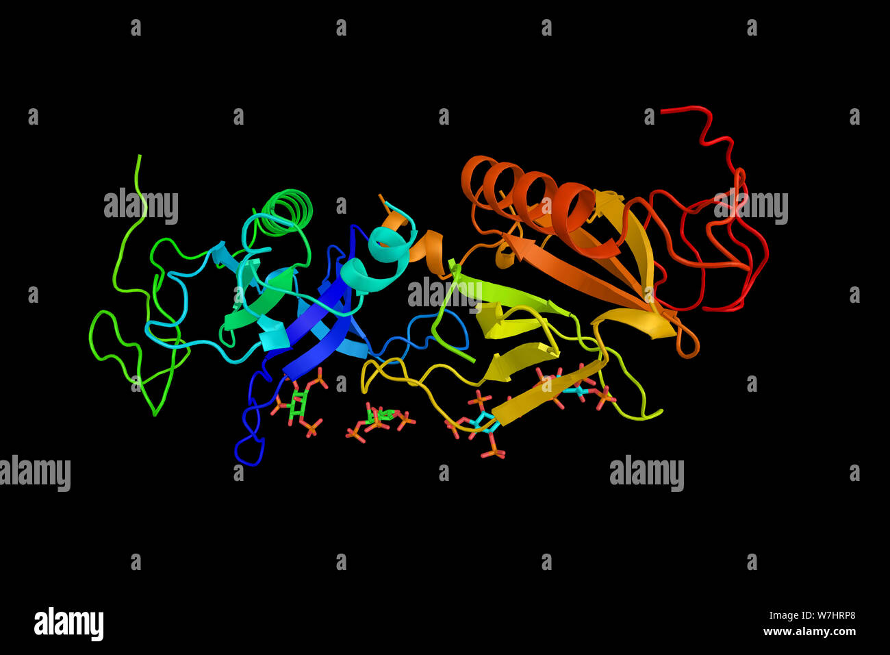 PH domain of tyrosine-protein kinase BTK.  PH domain is a protein domain that occurs in a wide range of proteins involved in intracellular signaling o Stock Photo