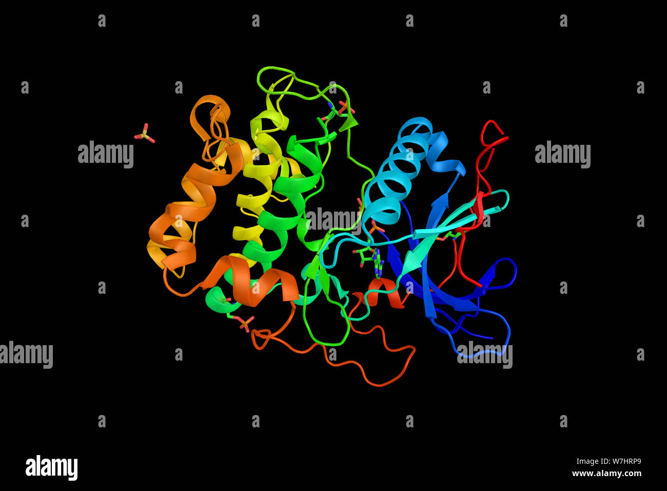 Serine/threonine-protein kinase N2, an enzyme that in humans is encoded by the PKN2 gene. 3d rendering. Stock Photo