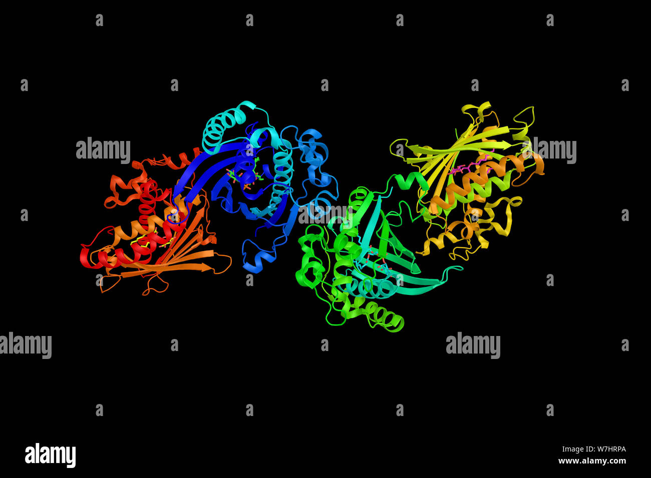 Phosphatidylinositol transfer protein alpha isoform, a cytosolic phospholipid transfer protein distinguished by the ability to transfer phospholipids Stock Photo