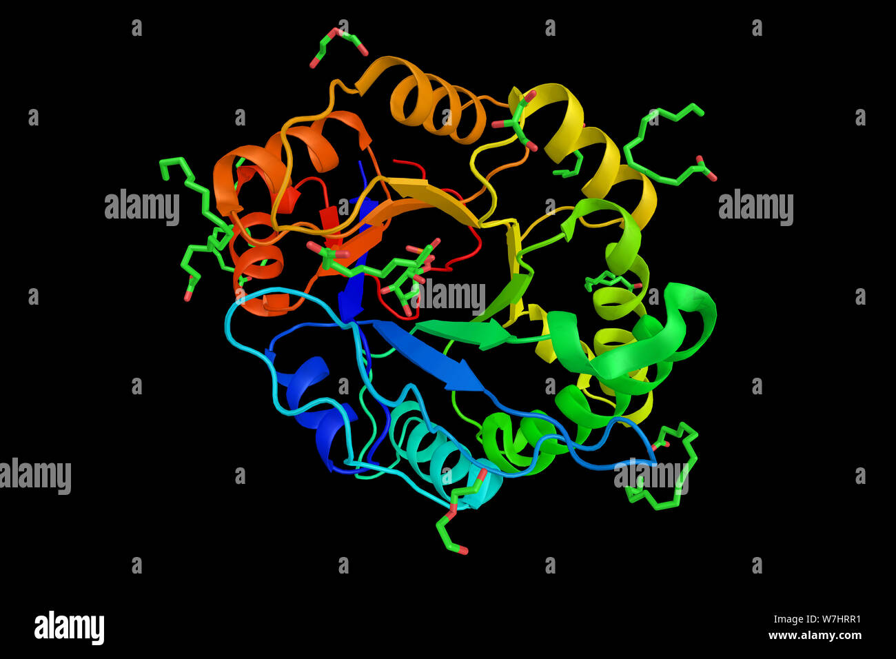 Phospholipase D, implicated in the pathophysiology of multiple diseases, an enzyme of the phospholipase superfamily. Phospholipases occur widely, and Stock Photo