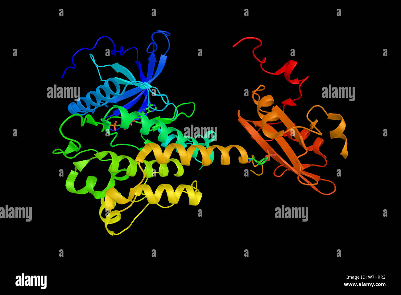 Phosphatidylinositol-specific phospholipase C, member of Phosphoinositide phospholipase C family of eukaryotic intracellular enzymes that play an impo Stock Photo