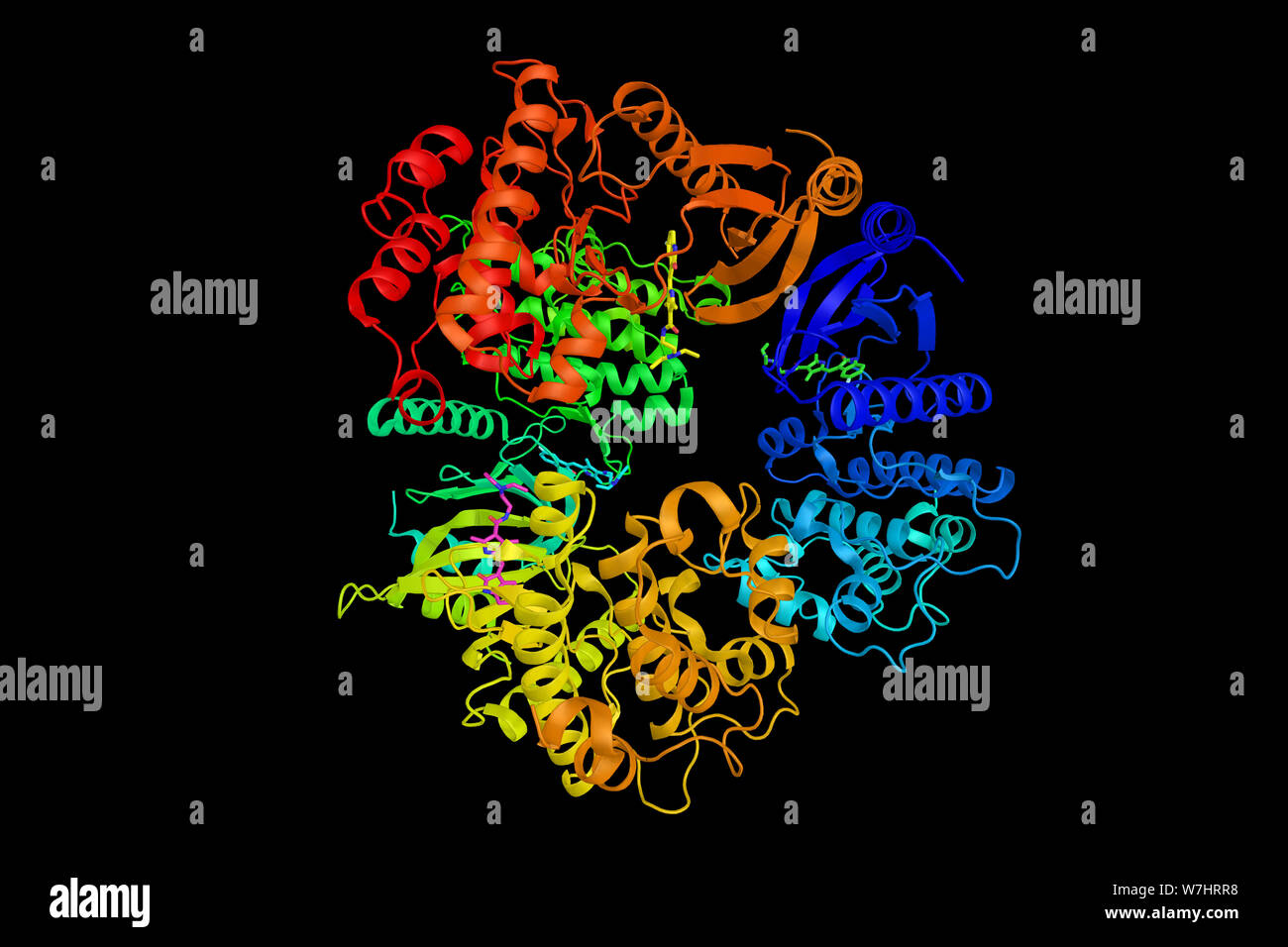 Phosphorylase b kinase gamma catalytic chain, testis/liver isoform, an enzyme that in humans is encoded by the PHKG2 gene. 3d rendering. Stock Photo