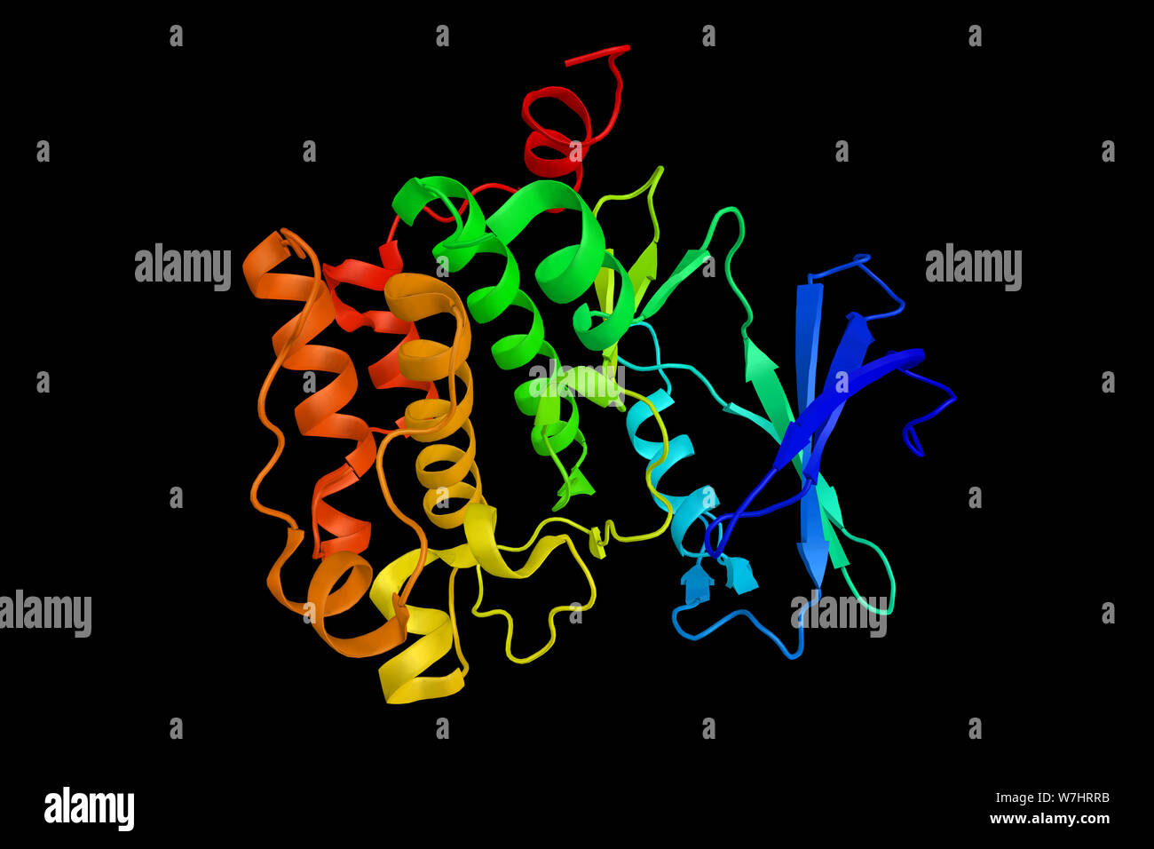 PIM1, a proto-oncogene which encodes for the serine/threonine kinase of the same name. 3d rendering. Stock Photo