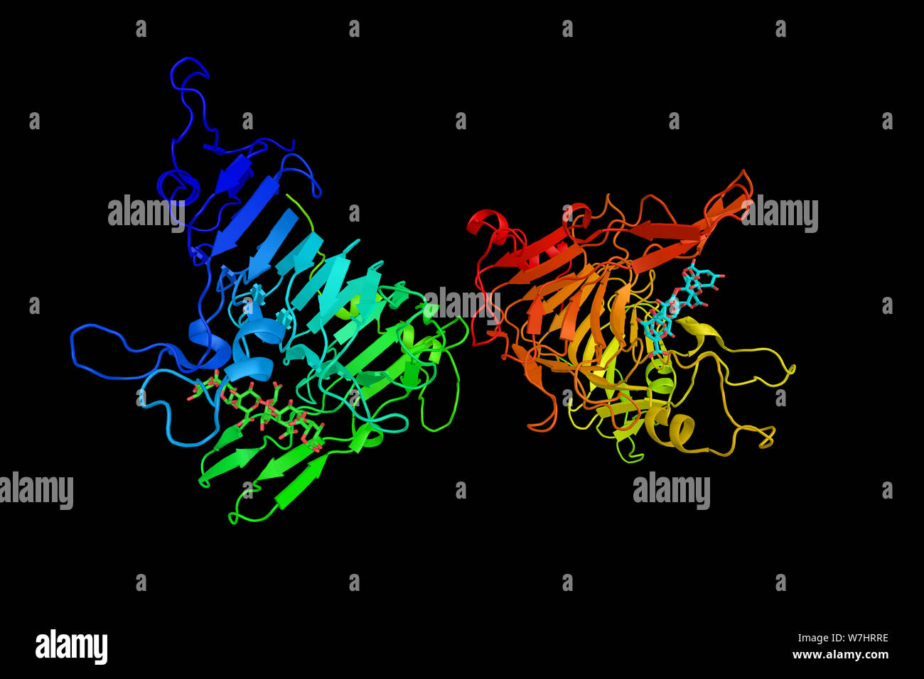 Pectinesterase, a ubiquitous cellwallassociated enzyme that presents several isoforms that