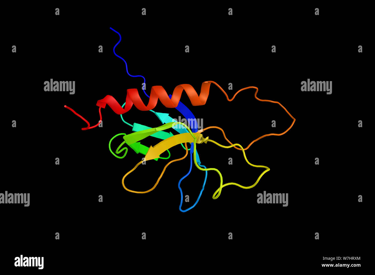 Serine/threonineprotein kinase D2, an enzyme which can bind to