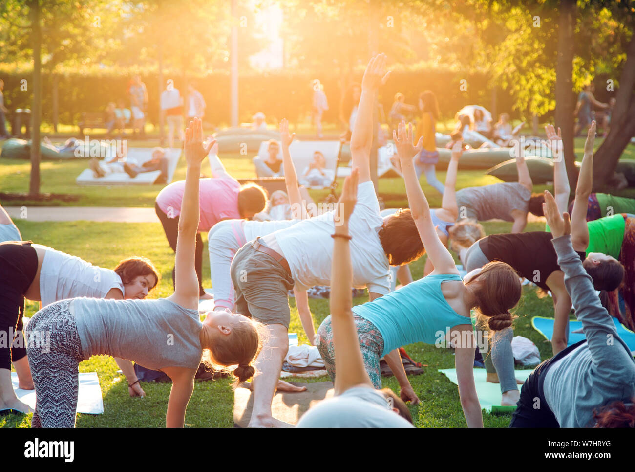 A group of young people do yoga in the Park at sunset Stock Photo - Alamy