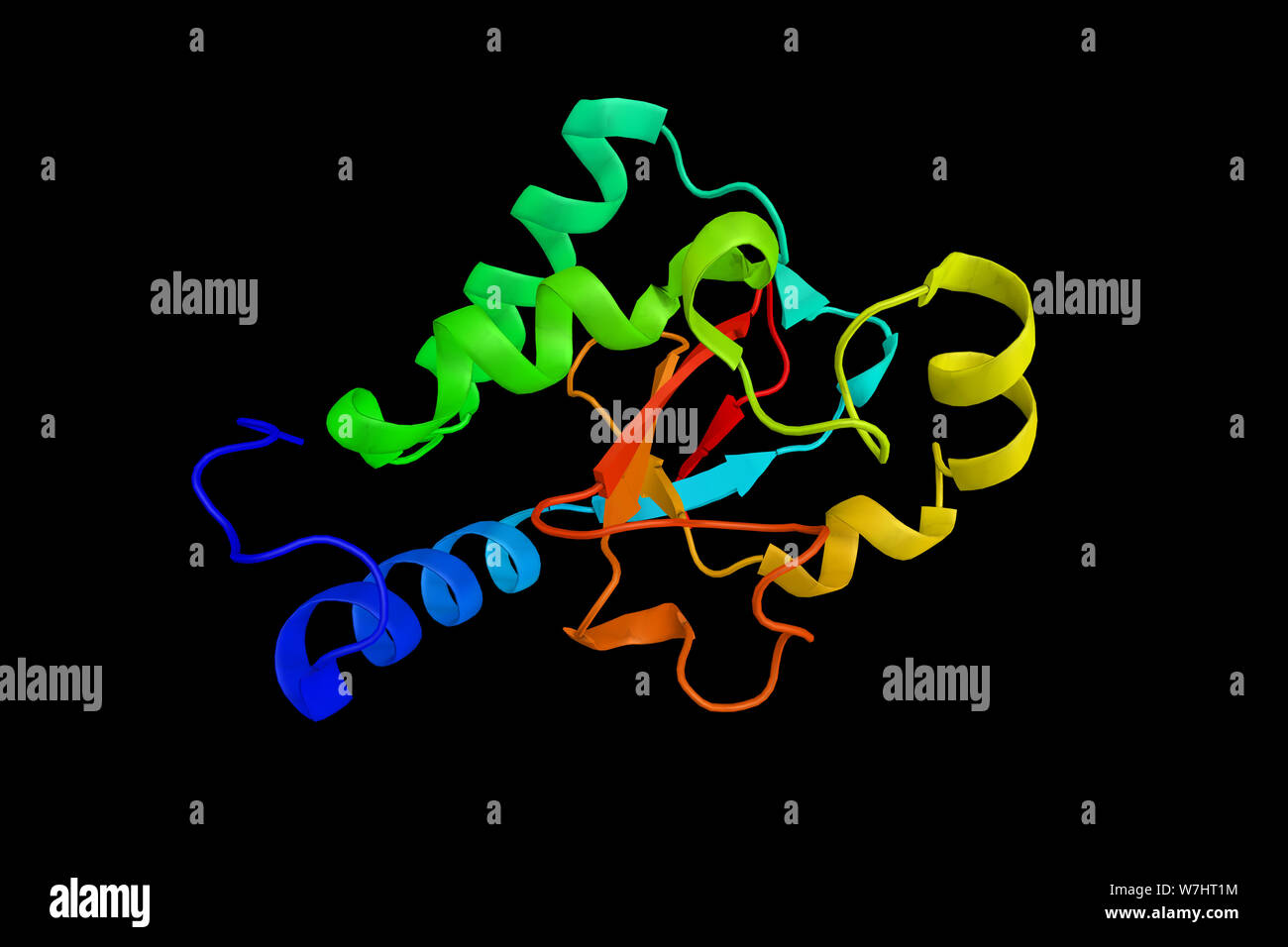 E3 ubiquitin-protein ligase NRDP1, an enzyme which contains a RING finger, a motif known to be involved in protein-protein and protein-DNA interaction Stock Photo