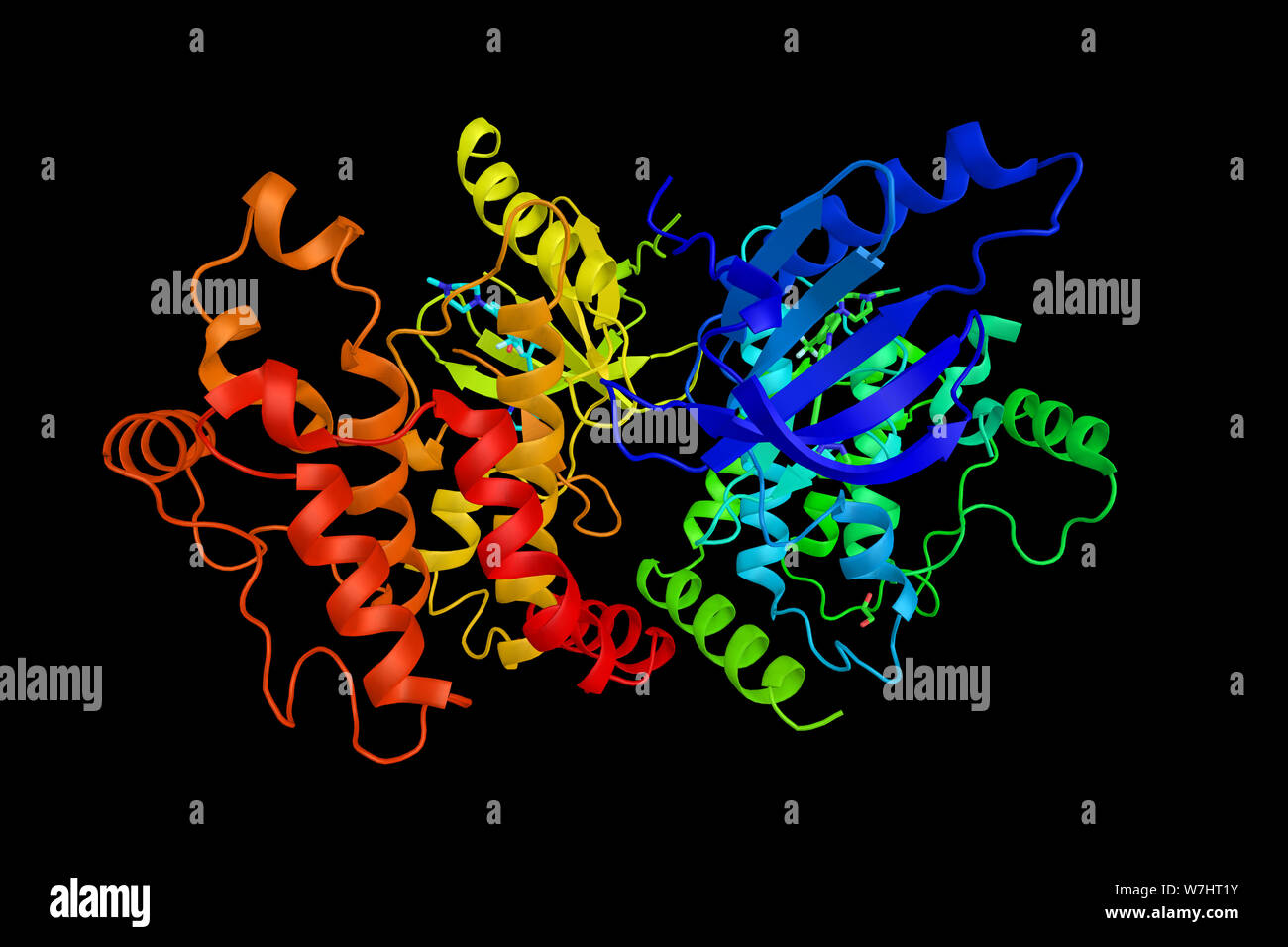 Receptor-interacting serine/threonine-protein kinase 2, an enzyme which is a component of signaling complexes in both the innate and adaptive immune p Stock Photo