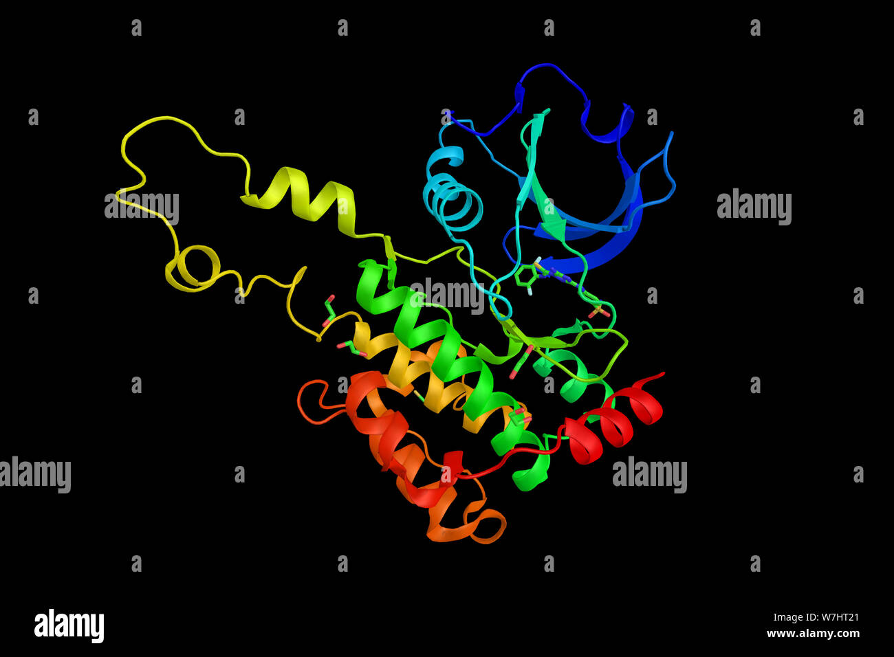 STE20-like serine/threonine-protein kinase, an enzyme shown to interact with PDZK1. 3d rendering. Stock Photo