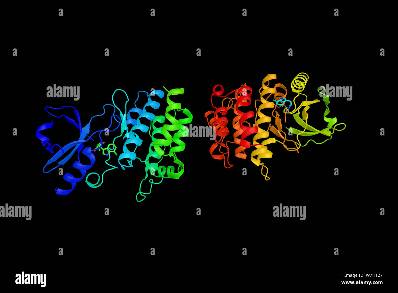 Receptor-interacting serine/threonine-protein kinase 1, an enzyme known to have function in a variety of cellular pathways including the NF-kappaB pat Stock Photo