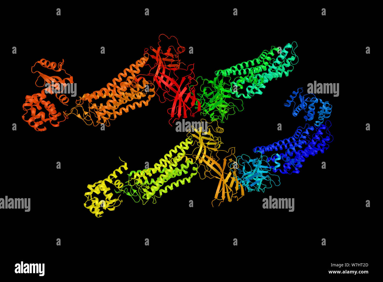 Rhodopsin, a light-sensitive receptor protein involved in visual phototransduction. When exposed to light, it immediately photobleaches. In humans, it Stock Photo