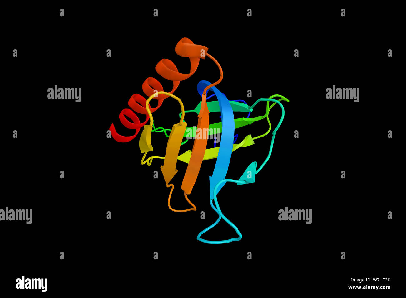 Sprouty-related, EVH1 domain-containing protein 2, a member of the Sprouty /SPRED family of proteins that regulate growth factor-induced activation of Stock Photo