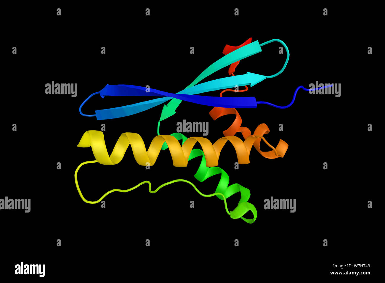 Serine/threonine-protein kinase Sgk3, a phosphoprotein with a PX (phox homology) domain. 3d rendring. Stock Photo
