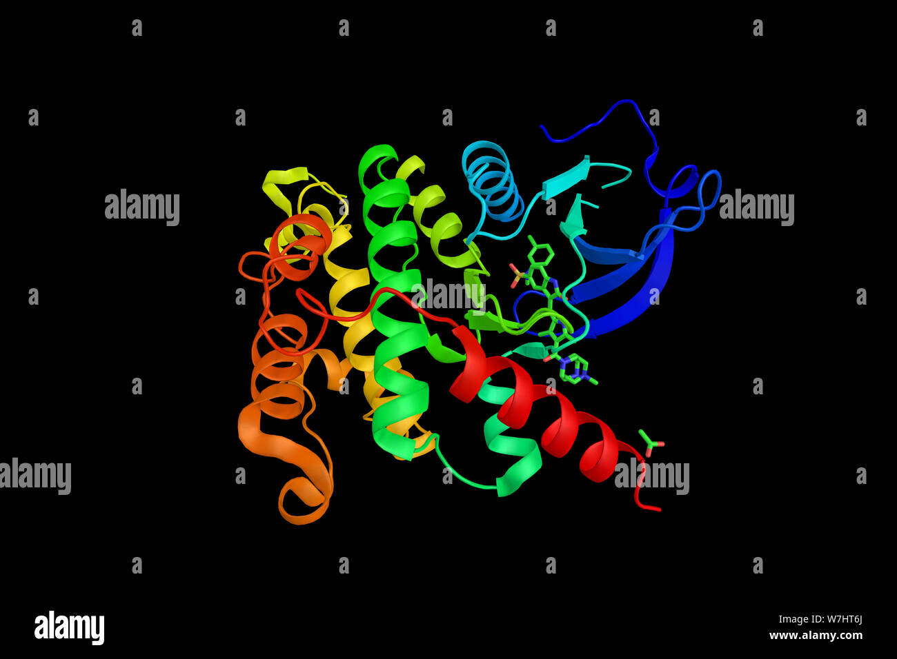 Progression of the cell cycle hi-res stock photography and images - Alamy
