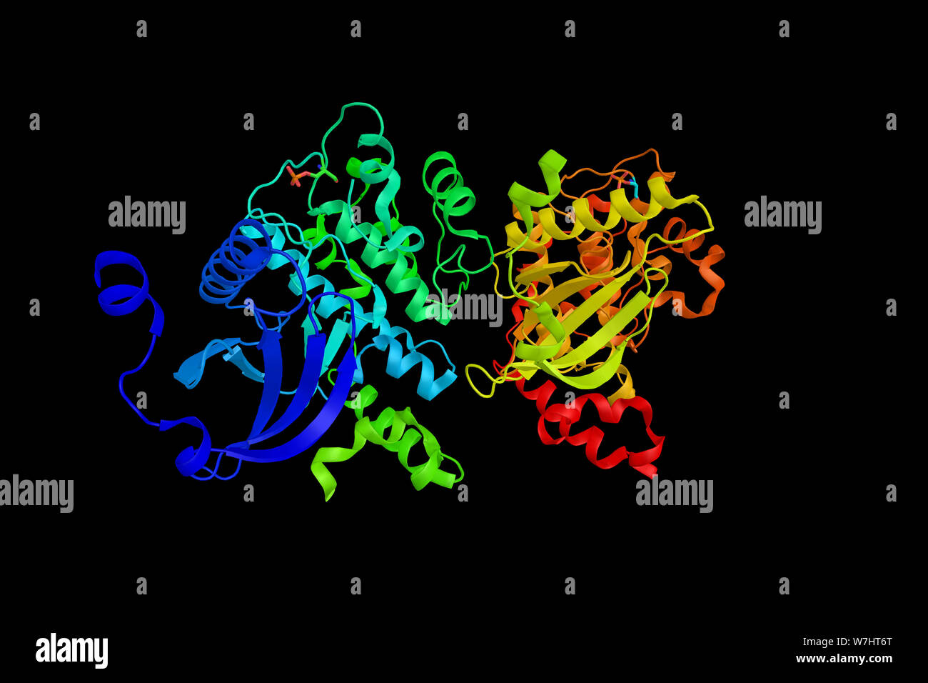 TAOK2, an enzyme has been shown to interact with MAP2K6 and MAP2K3. 3d rendering. Stock Photo
