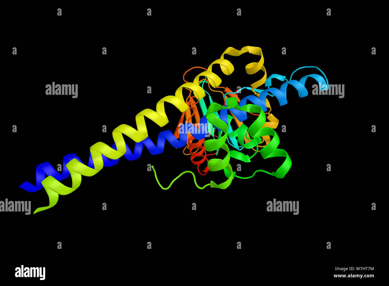 Transcription factor Dp-1, a protein which regulates the expression of various cellular promoters. 3d rendering. Stock Photo