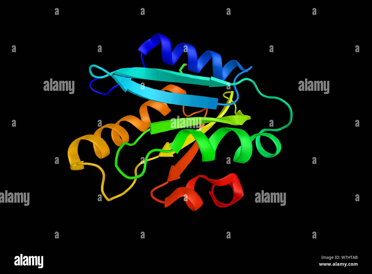 Twinfilin-2, a protein identified by its interaction with the catalytic domain of protein kinase C-zeta. 3d rendering. Stock Photo
