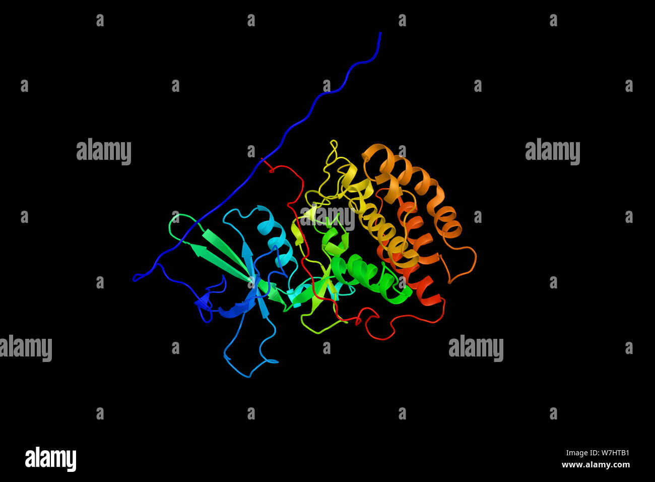 Serine/threonine-protein kinase VRK1, a protein which localizes to the nucleus and has been shown to promote the stability and nuclear accumulation of Stock Photo
