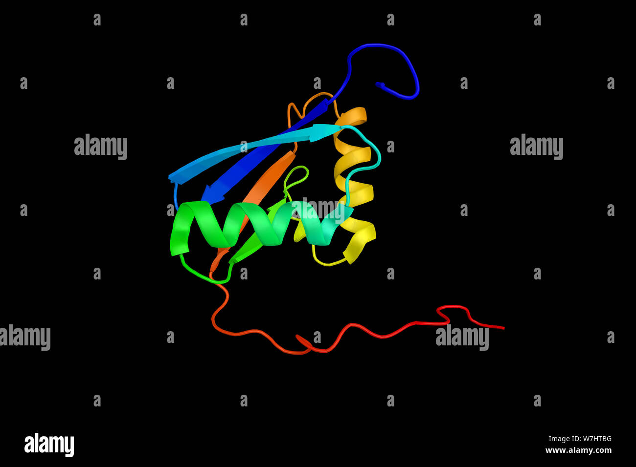 Mitogen-activated protein kinase kinase kinase 2, an enzyme which preferentially activates other kinases involved in the MAP kinase signaling pathway. Stock Photo