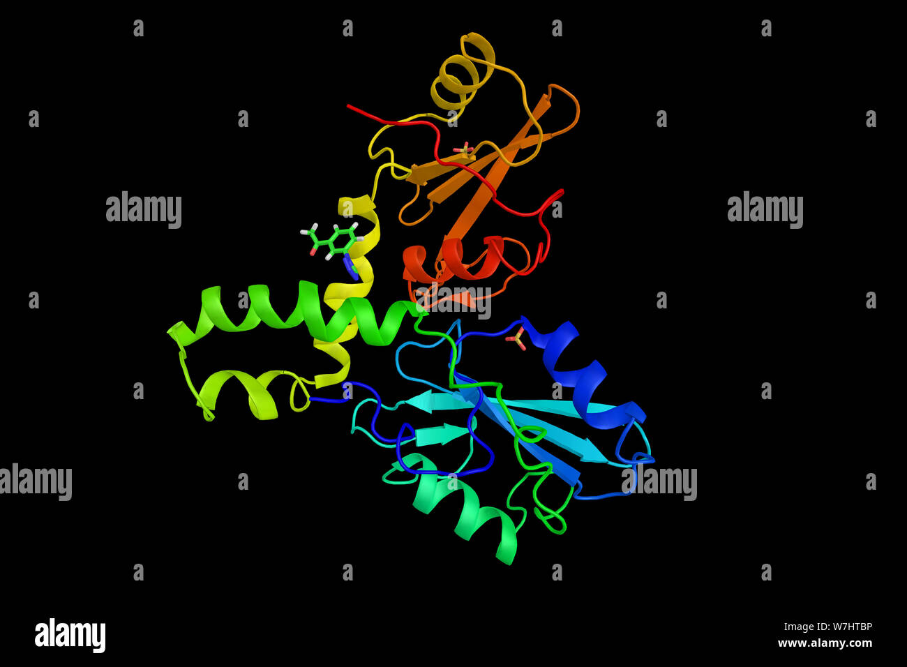 ZAP-70, a protein normally expressed near the surface membrane of T cells and natural killer cells. Part of the T cell receptor, and plays a critical Stock Photo