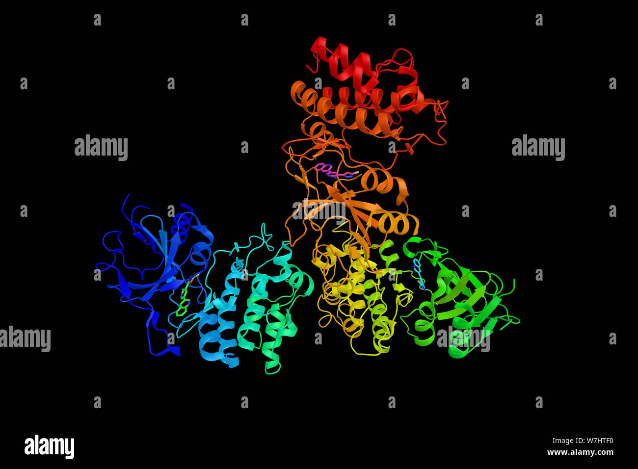Mitogen-activated protein kinase kinase kinase 8, an enzyme which can ...