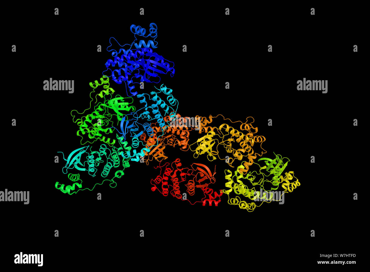 Serine/threonine-protein kinase MARK1 is an enzyme that in humans is encoded by the MARK1 gene. 3d rendering. Stock Photo