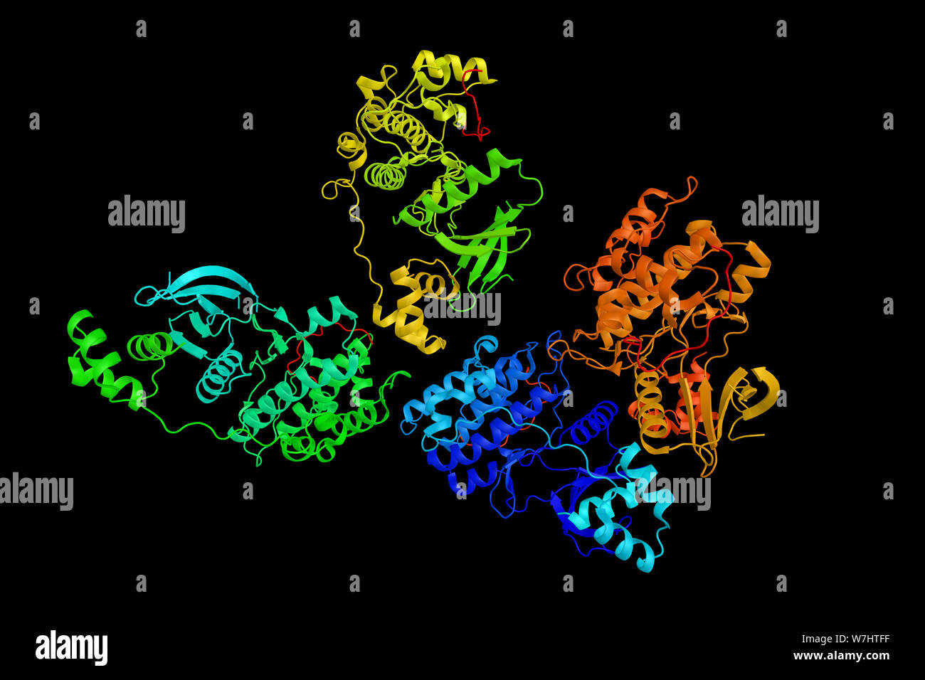 Serine/threonine-protein kinase MARK2, an enzyme shown to be encoded by a single mRNA ubiquitously expressed. Interacts with AKT1. 3d rendering. Stock Photo