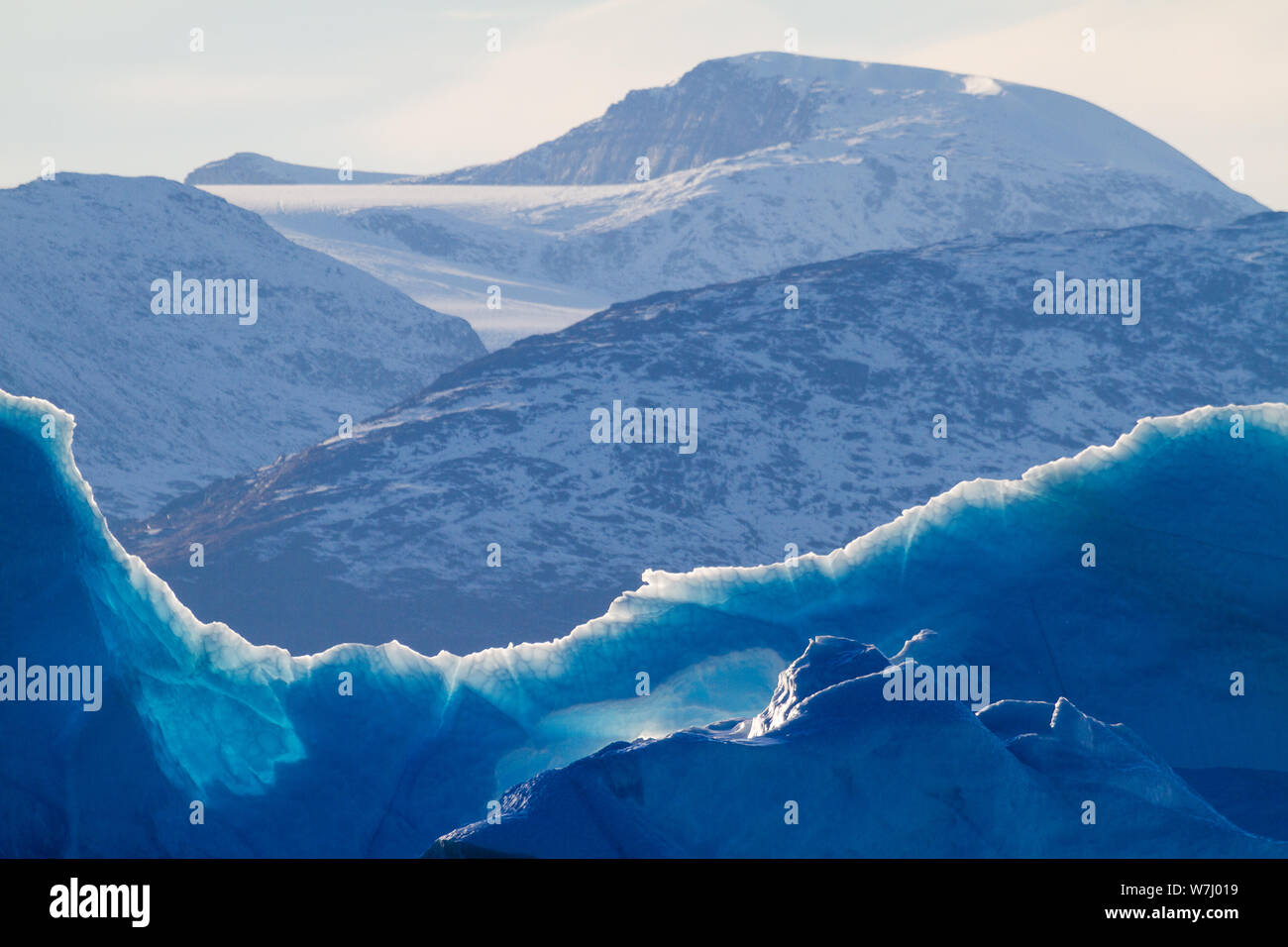 Exploring Scoresbysund by zodiac provided an opportunity to get up close and personal with the towering icebergs. The edges, thinning, allow more light to penetrate, highlighting the cells of ice within. Stock Photo