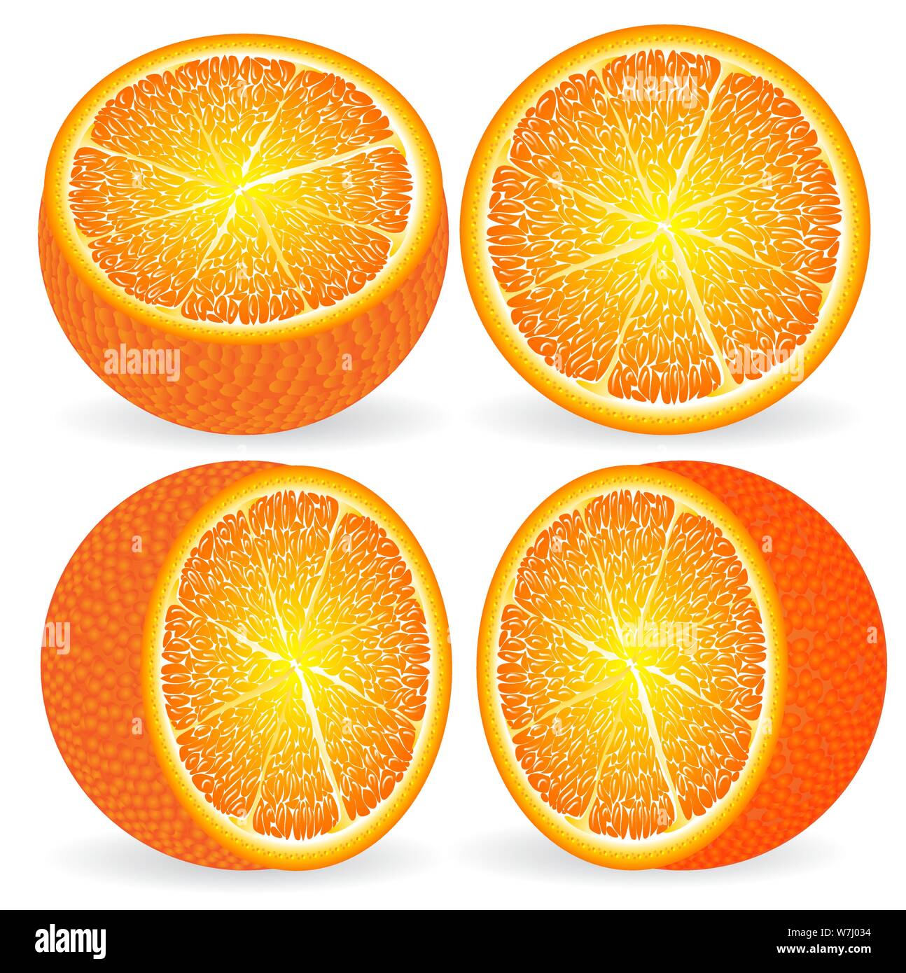 Orange, in a cut close-up at different angles, citrus Stock Vector