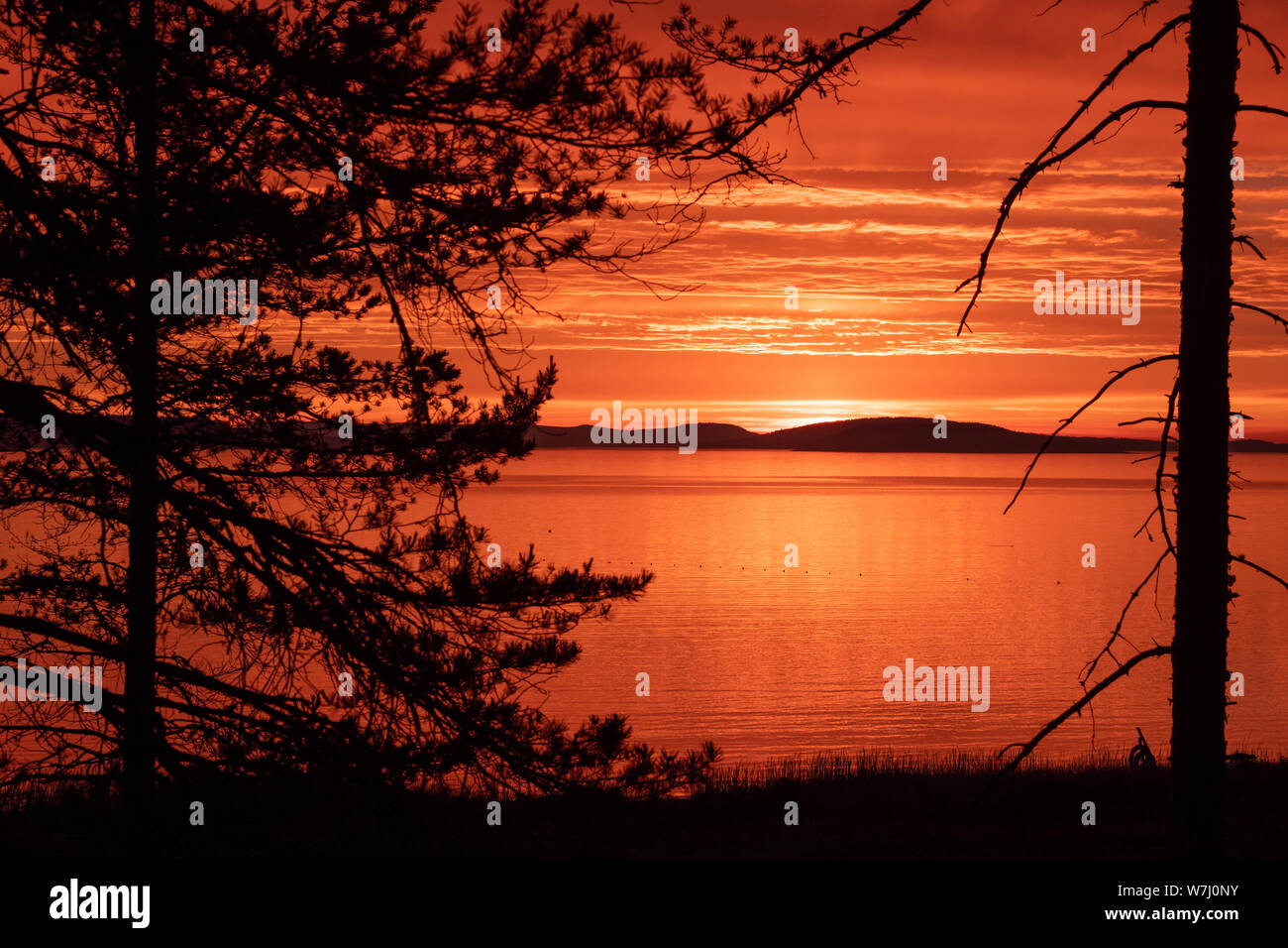 Midnight sun at the polar circle Stock Photo Alamy